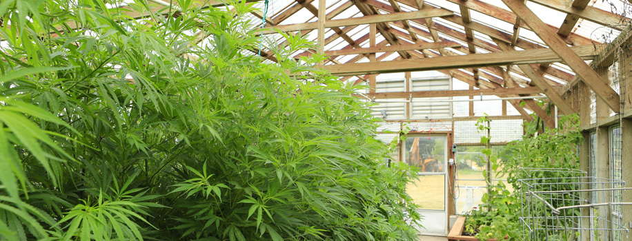 Security Solutions for Apartments in Bend,  OR